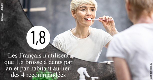 https://dr-morgane-pelletier.chirurgiens-dentistes.fr/Français brosses 2