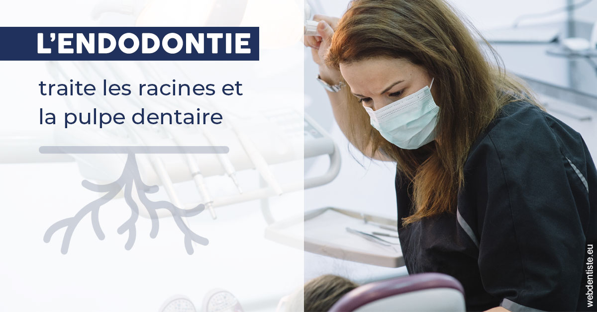https://dr-morgane-pelletier.chirurgiens-dentistes.fr/L'endodontie 1