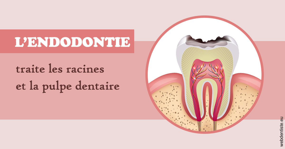 https://dr-morgane-pelletier.chirurgiens-dentistes.fr/L'endodontie 2