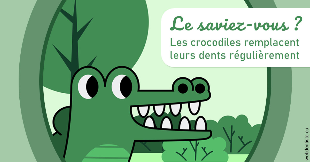 https://dr-morgane-pelletier.chirurgiens-dentistes.fr/Crocodiles 2